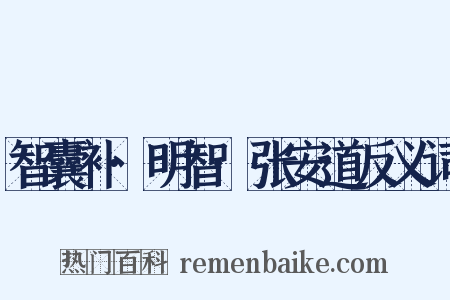 智囊补·明智·张安道反义词是什么意思的图片